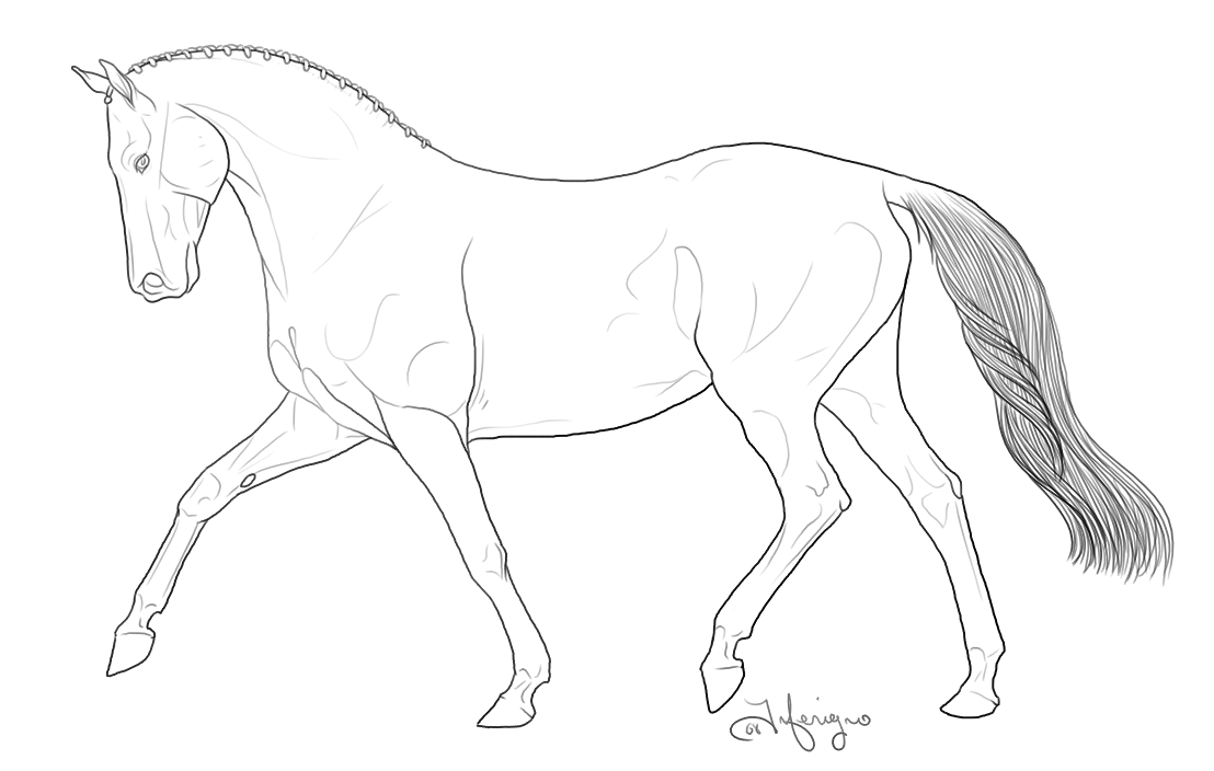 Animal Coloring Horse Coloring Pages Horse Animal Coloring Pages 3 
