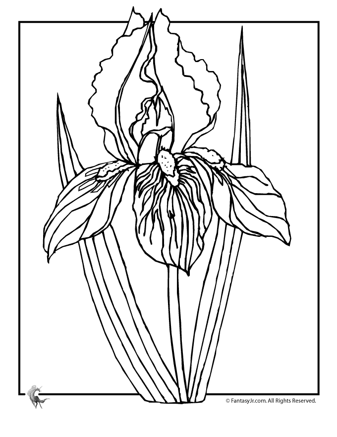 Spring-flowers-coloring-2 | Free Coloring Page Site