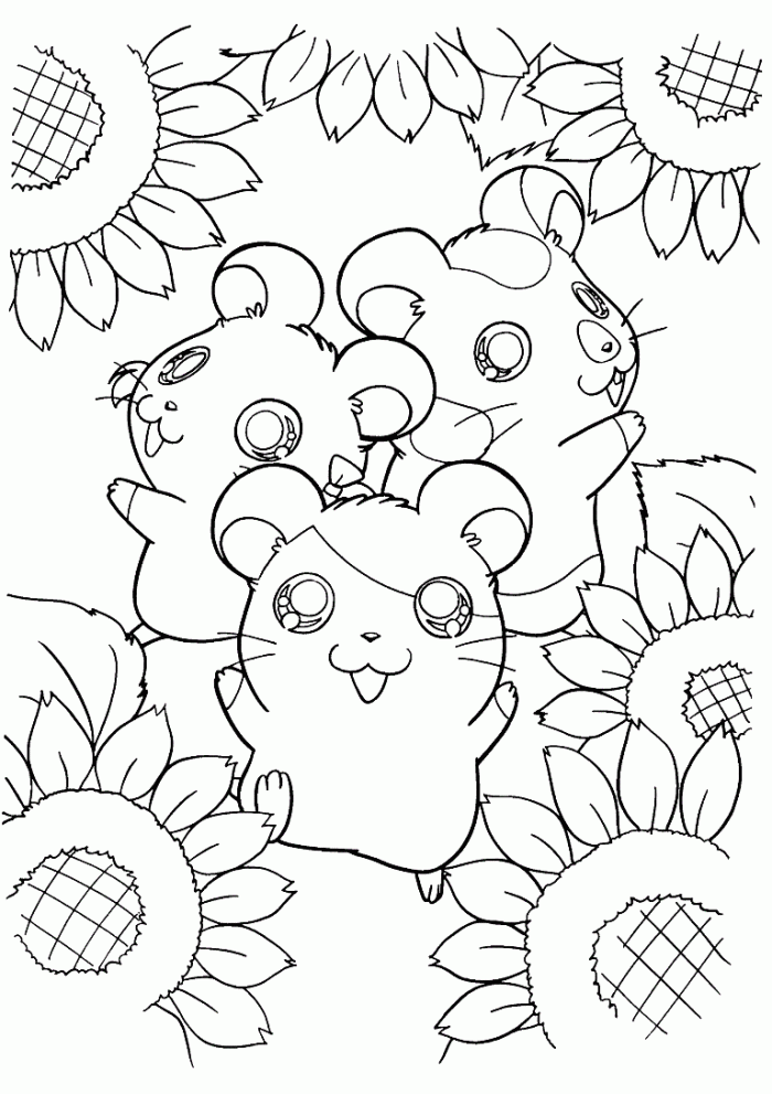 Happy Hamsters With Sun Flower Coloring Page | Kids Coloring Page