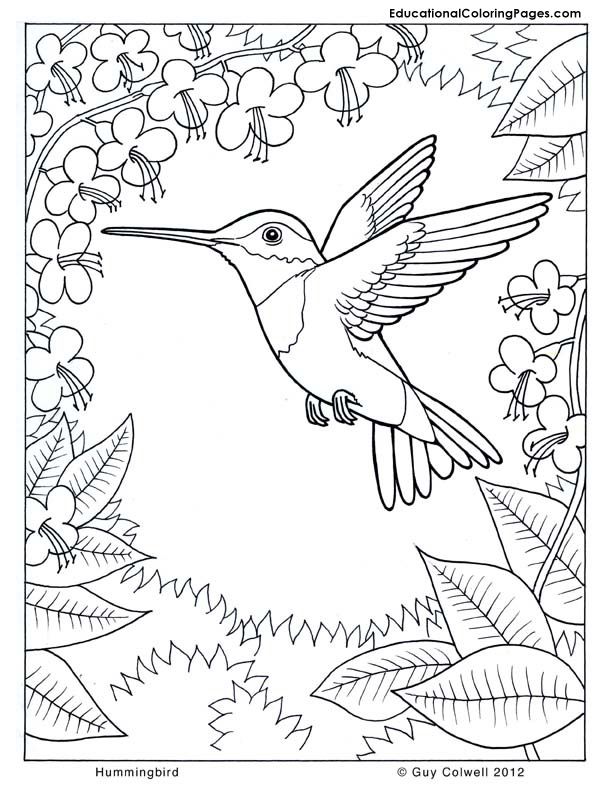 nature coloring pages | Animal Coloring Pages for Kids