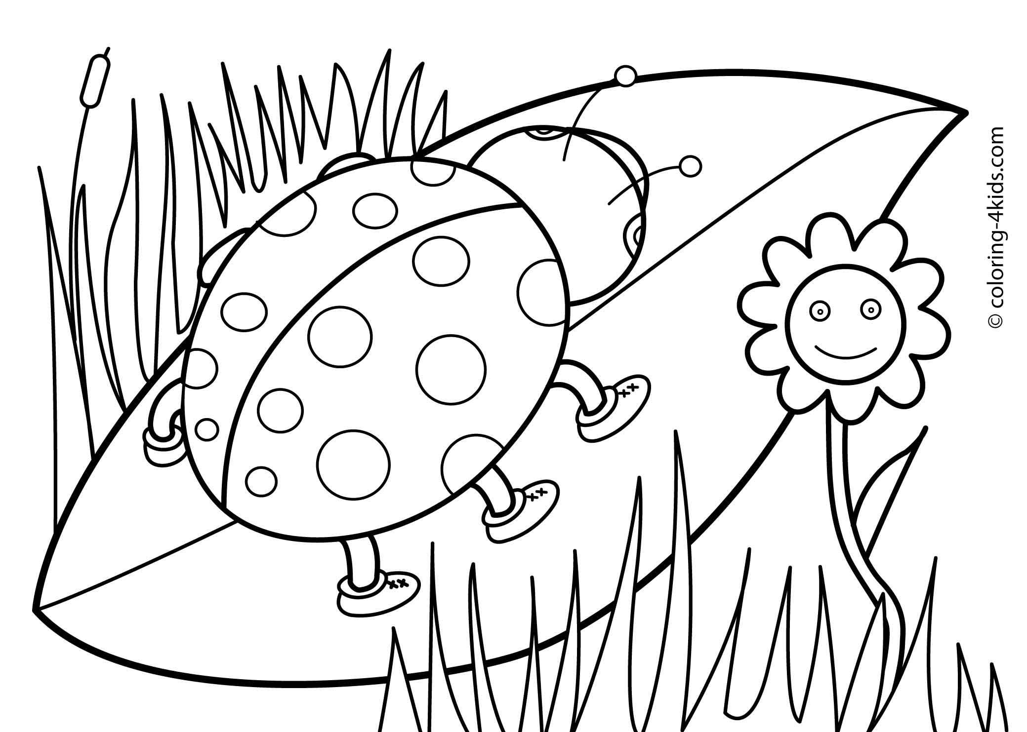 Spring Flower Activity Coloring Pages - Colorine.net | #13959