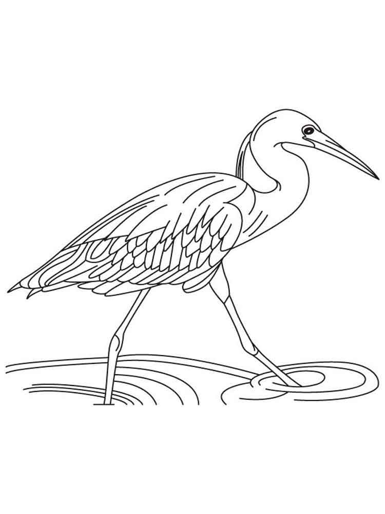 Egrets coloring pages. Download and print Egrets coloring pages