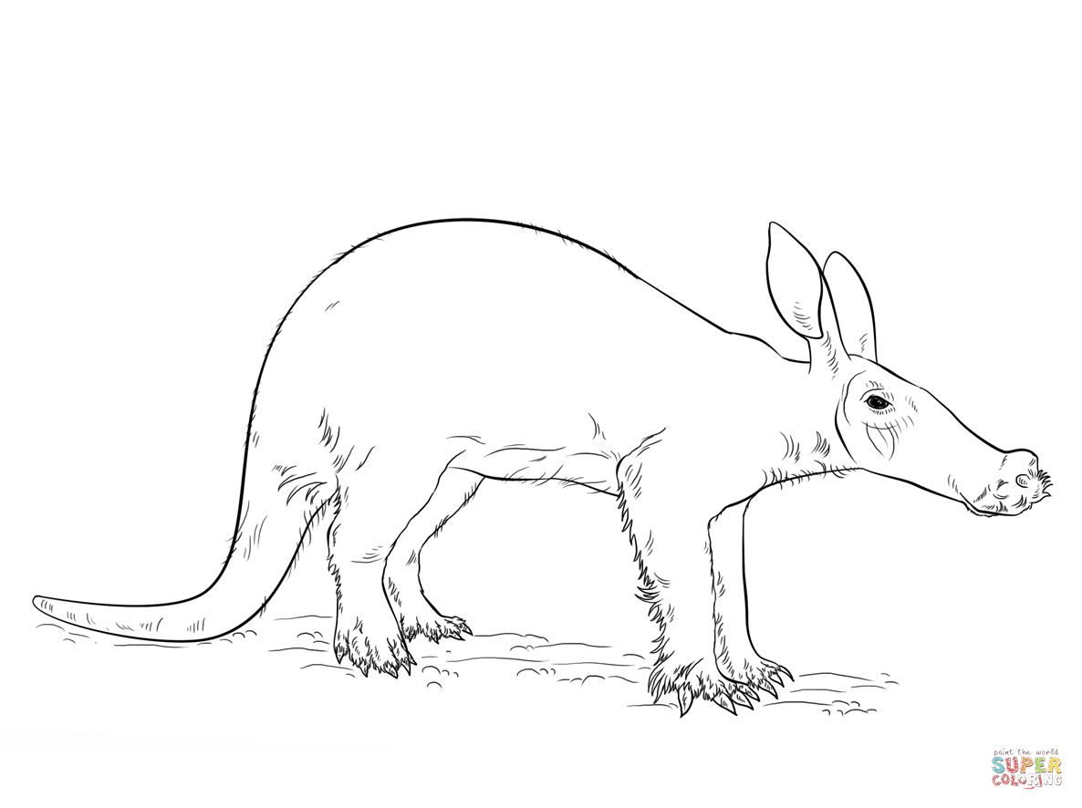 Aardvark coloring page | Free Printable Coloring Pages