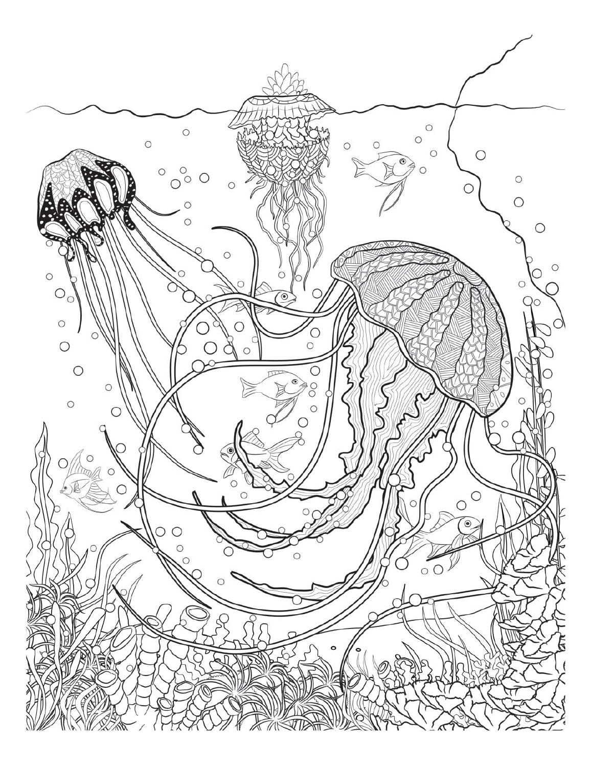 Coloring pages to print - Underwater on ...