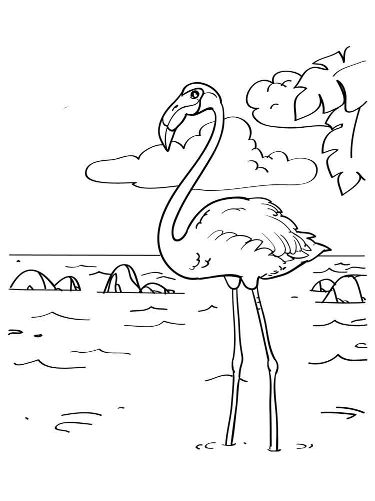 The best free Flamingo coloring page images. Download from 71 free ...