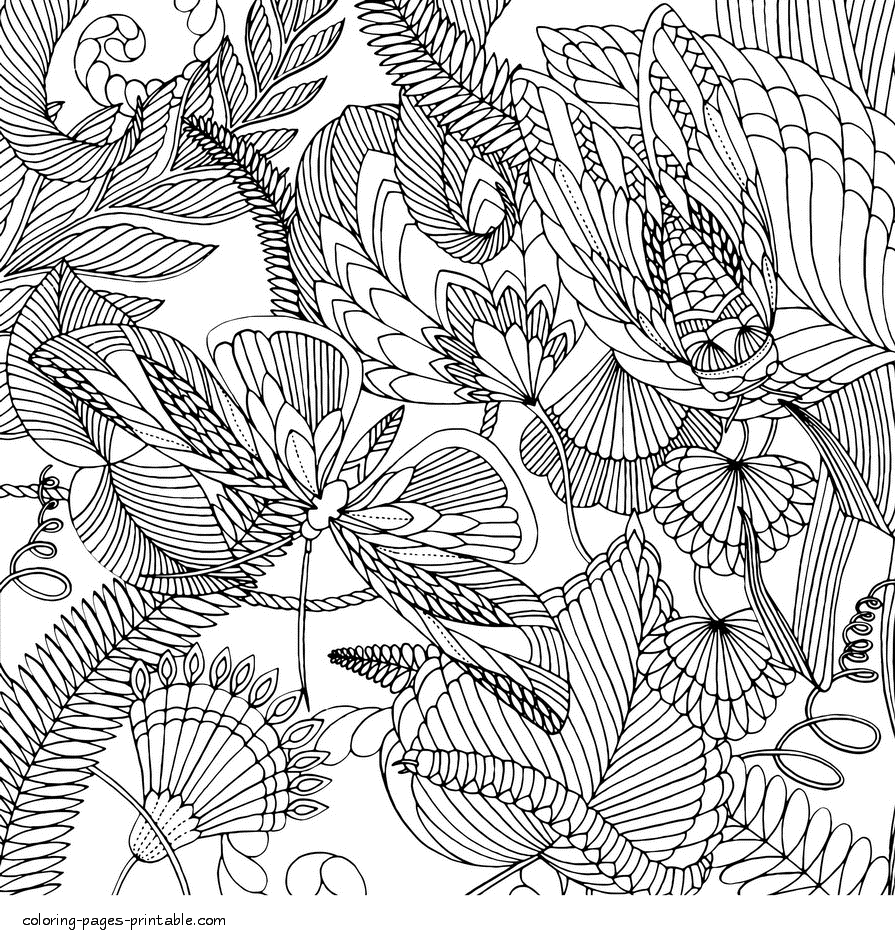 Butterflies And Caterpillar Coloring Page || COLORING-PAGES-PRINTABLE.COM