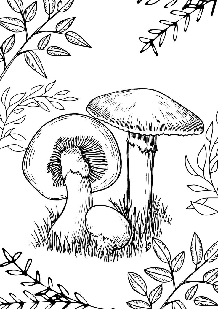 2 Printable Coloring Pages-mushroom Plant Flowers Magical - Etsy | Witch coloring  pages, Coloring book art, Flower coloring pages
