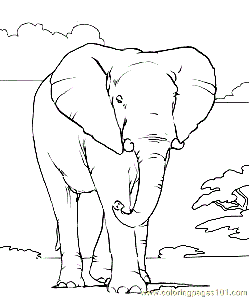 African elephant Coloring Page for Kids - Free Elephant Printable Coloring  Pages Online for Kids - ColoringPages101.com | Coloring Pages for Kids