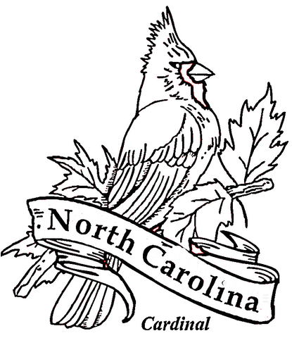 Cardinal Bird Of North Carolina coloring page | Free Printable ...