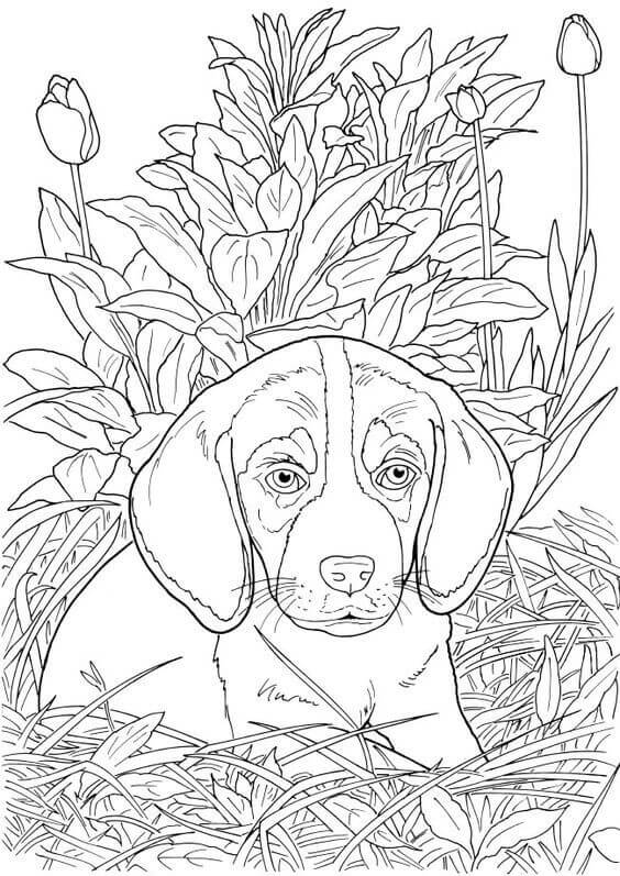 30 Free Printable Cute Dog Coloring Pages