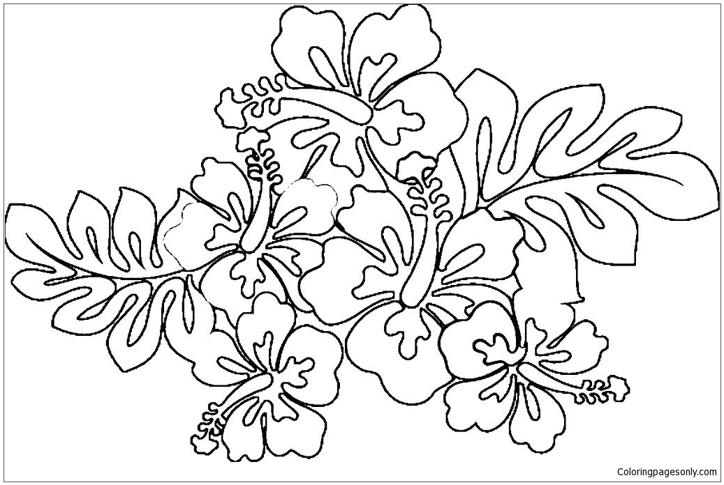 Hawaiian Flower Coloring Pages - Flower Coloring Pages - Coloring Pages For  Kids And Adults