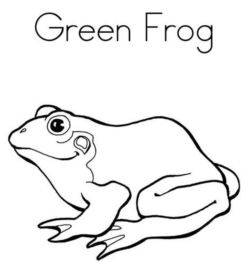 Frog Coloring Page Printable | Animal Coloring pages of ...