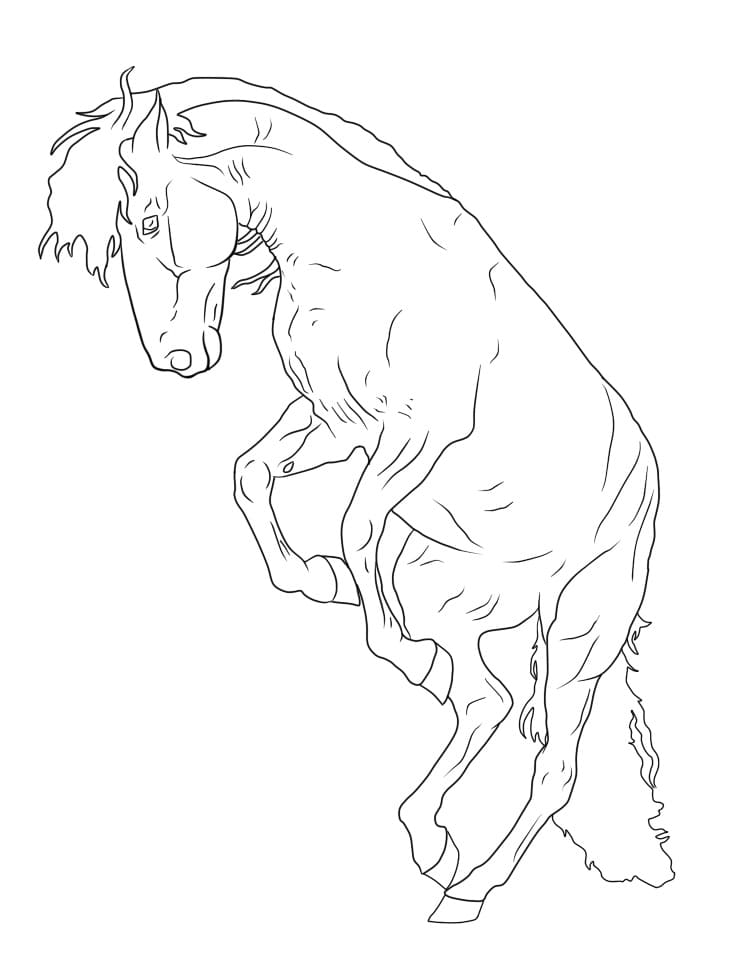 A Horse Coloring Page - Free Printable Coloring Pages for Kids