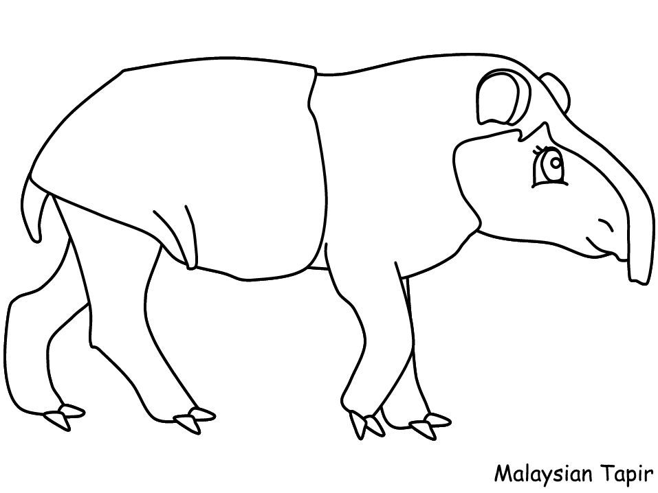 Tapir Coloring Page - Coloring Nation