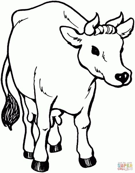 Coloring Pages Cow Picture cell coloring | Viralohno