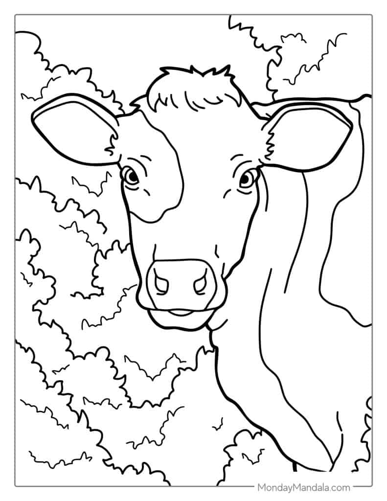 30 Cow Coloring Pages (Free PDF Printables)