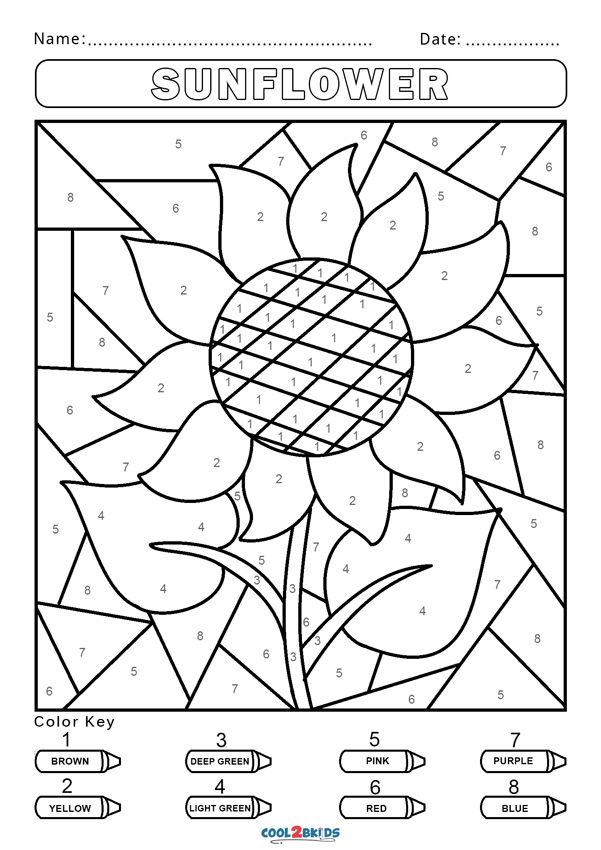 Free Color by Number Worksheets ...