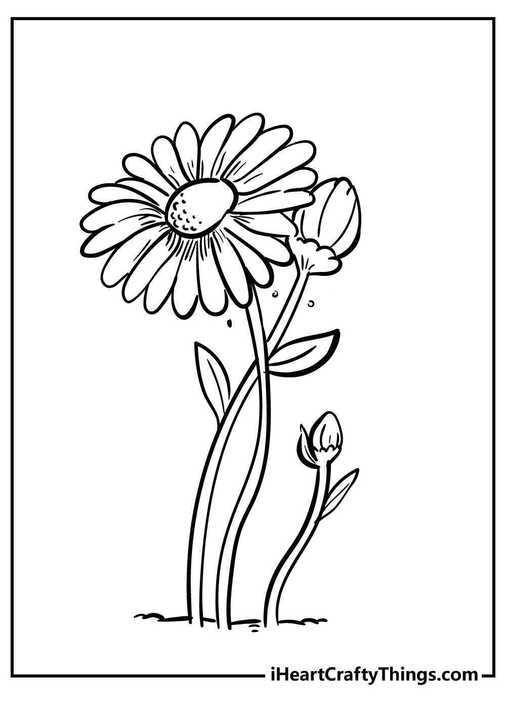 Printable Daisy Coloring Pages (Updated 2022)