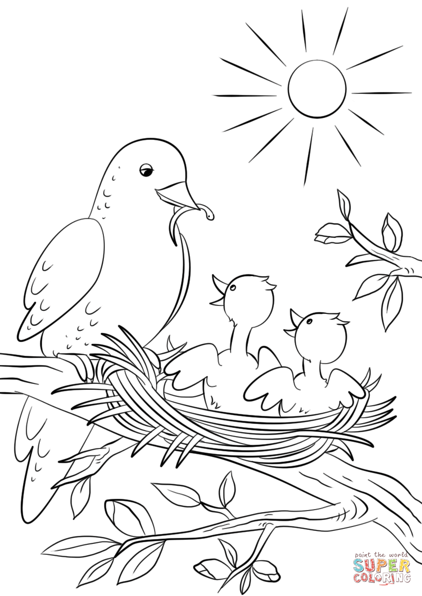 Mother Bird Feeding Chicks coloring page | Free Printable Coloring Pages