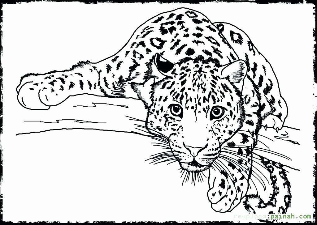 Free Coloring Pages Animals Realistic in 2020 | Detailed coloring ...