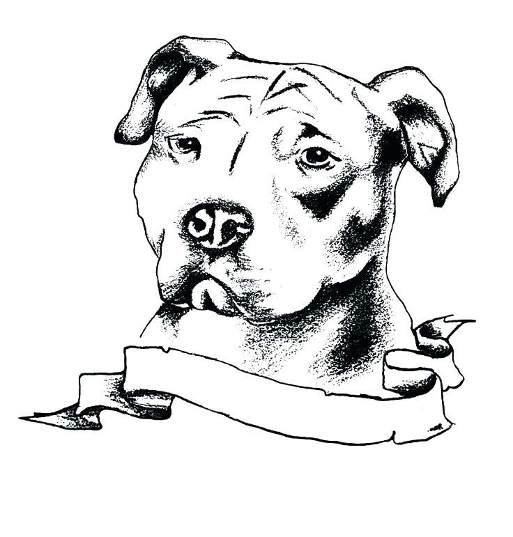 Pin on Animal Coloring Pages