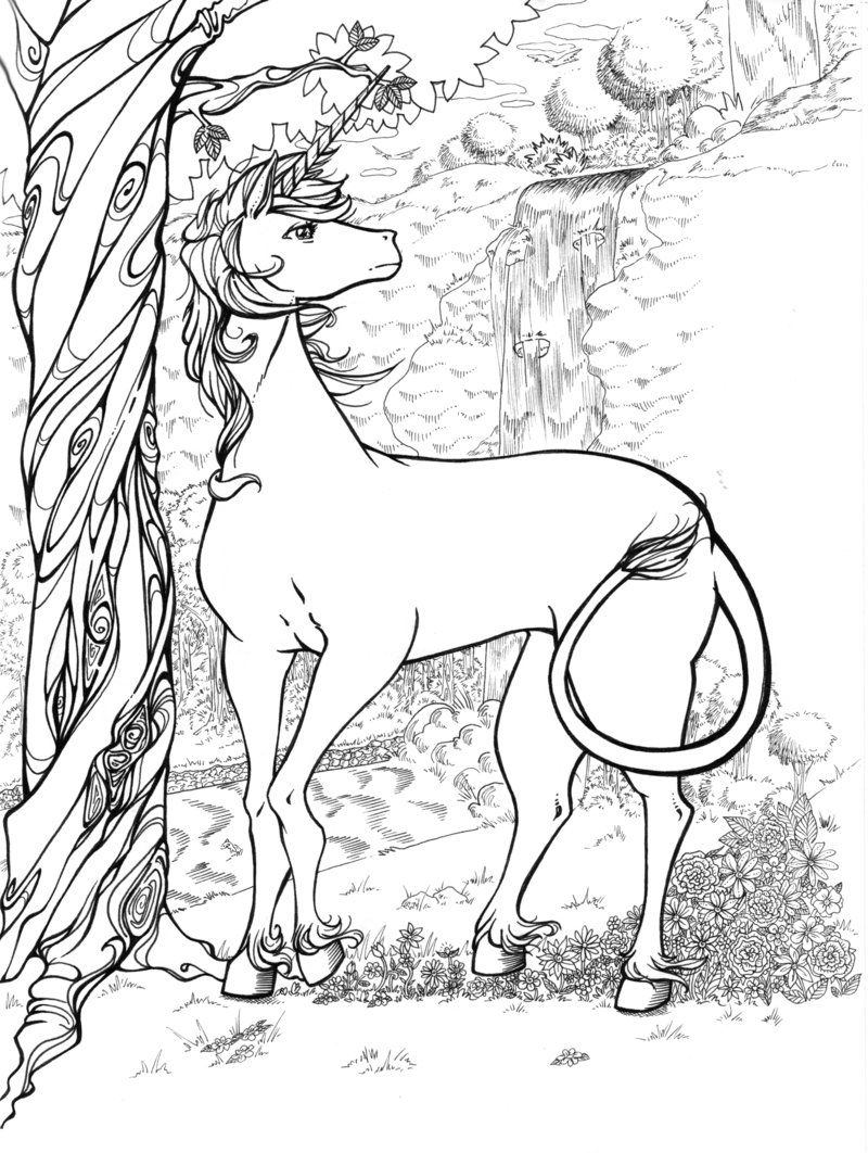 Unicorn Coloring Pages for Adults | Coloring