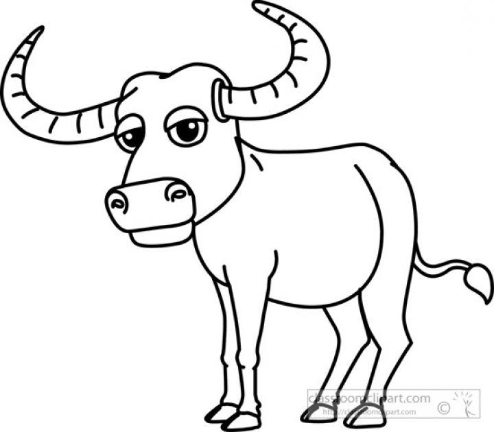 Animals Buffalo Black White Outline 910 Classroom Clipart In ...