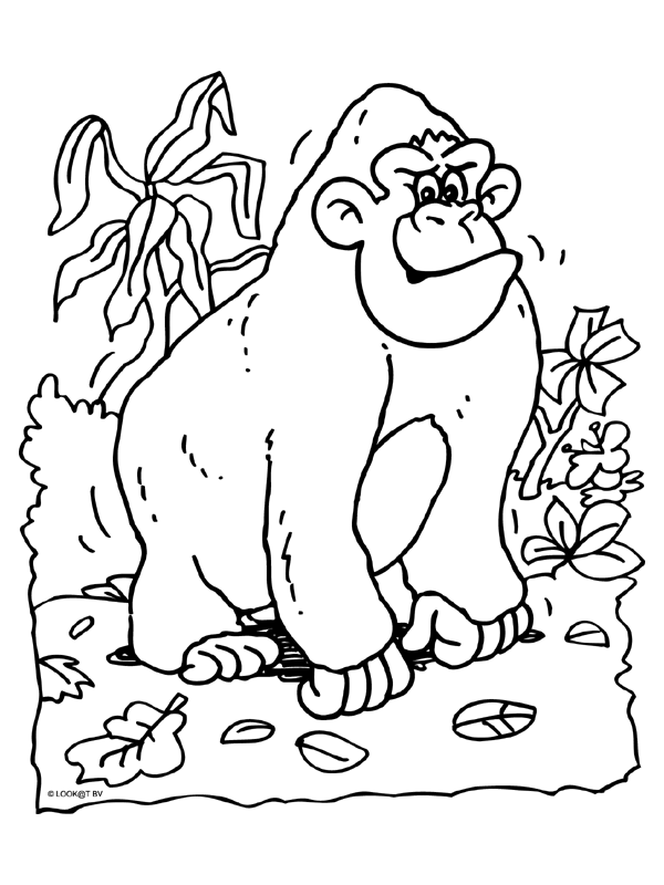 Coloring Page - Animals coloring pages 75