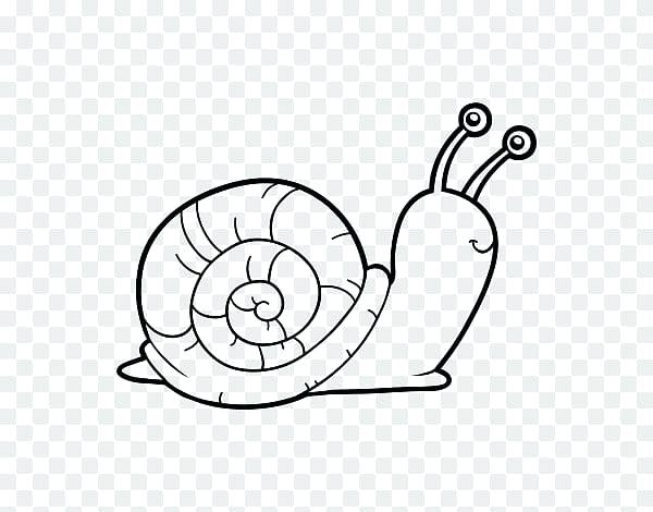 Snail Coloring Pages Gary - behindthegown.com