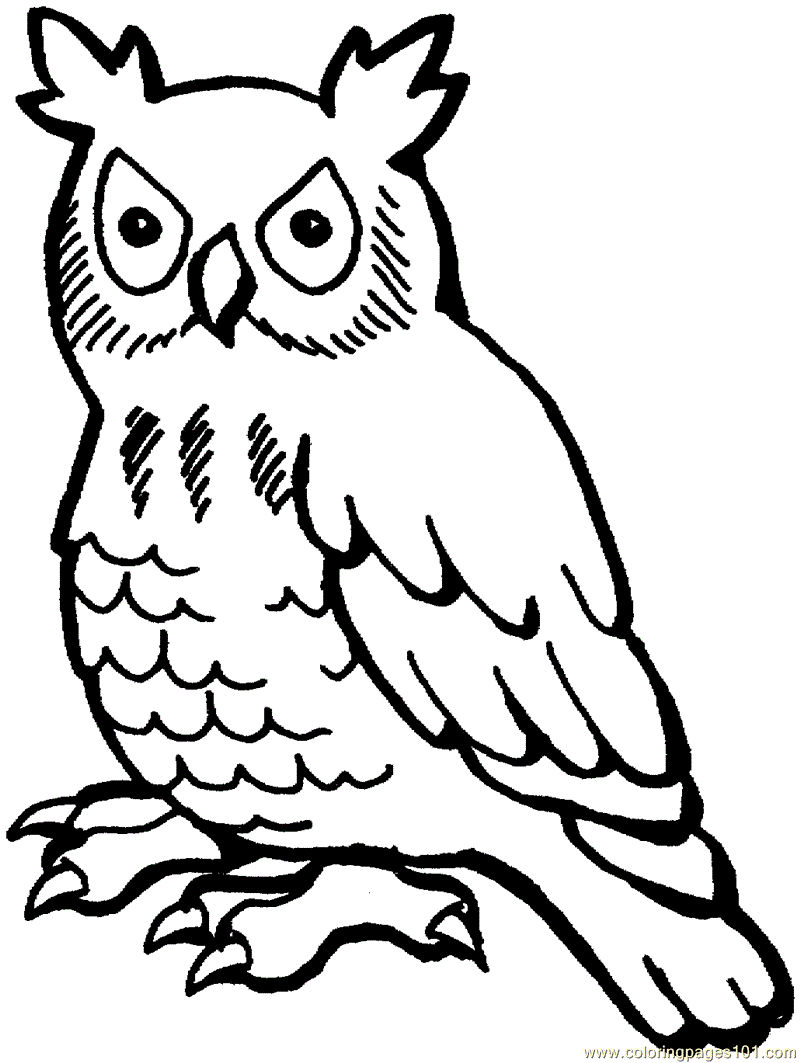 Coloring Sheet Trends For Halloween Owl Page Clip Art Library Free  Printable Baby Great Horned Barn – Approachingtheelephant