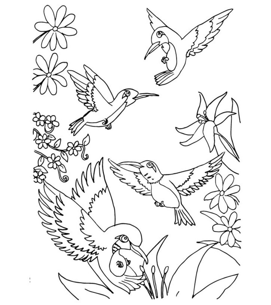 Top 10 Hummingbird Coloring Pages For Your Toddler