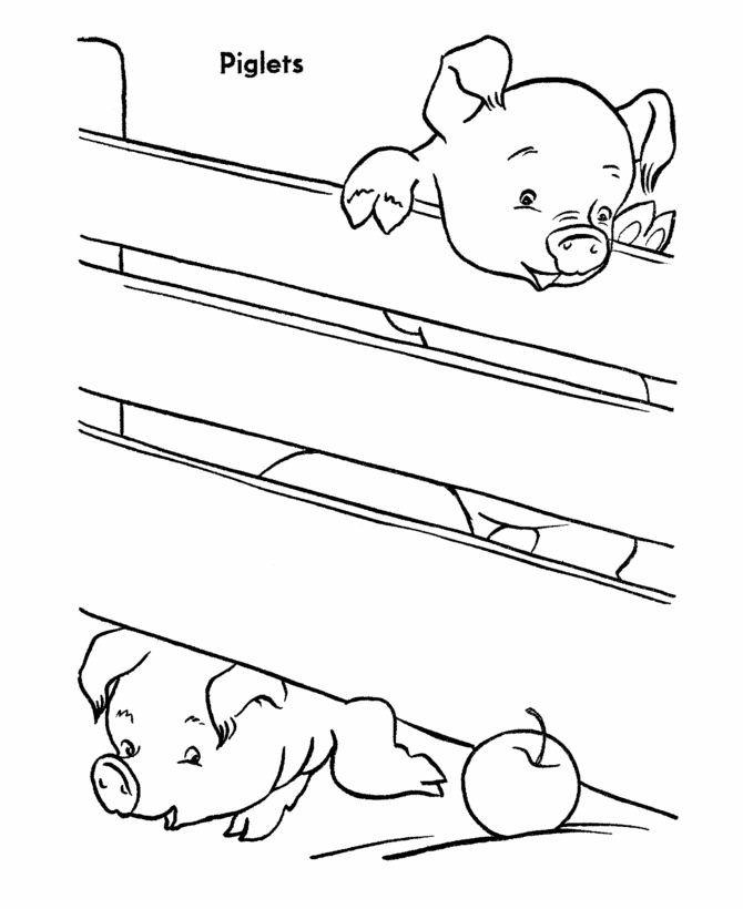 Farm Animal Coloring Pages | Pigs climb over fence Coloring Page ...