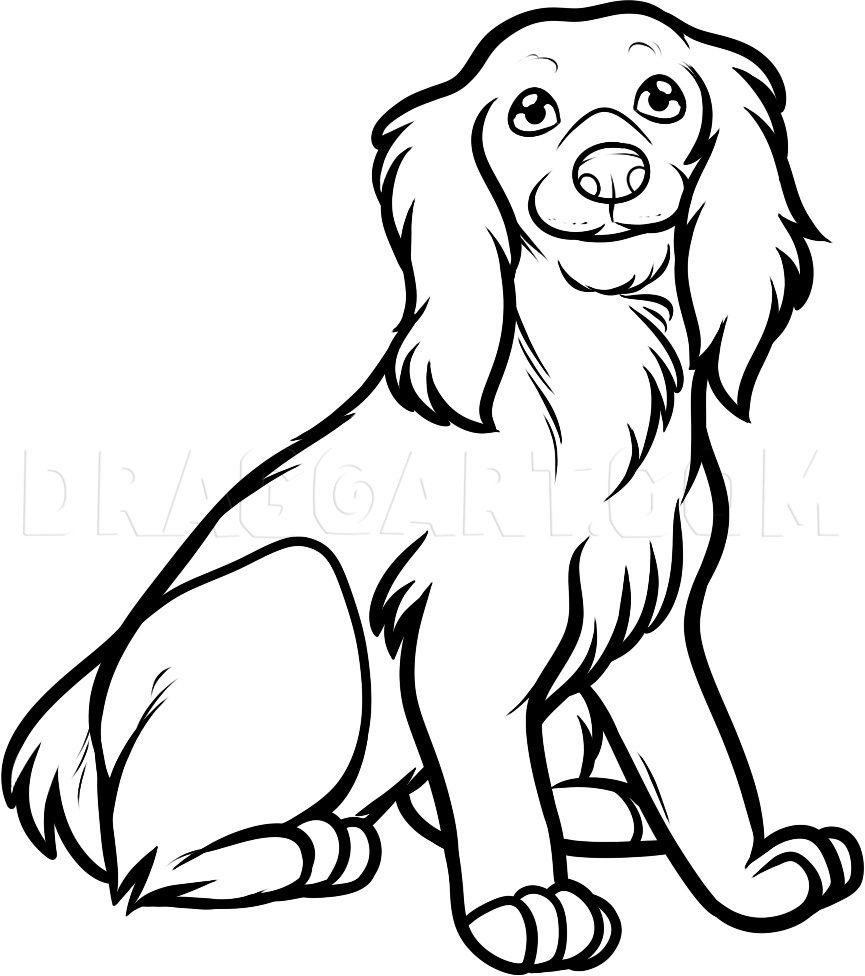 How to Draw a Cocker Spaniel, Cocker Spaniel, Coloring Page, Trace Drawing