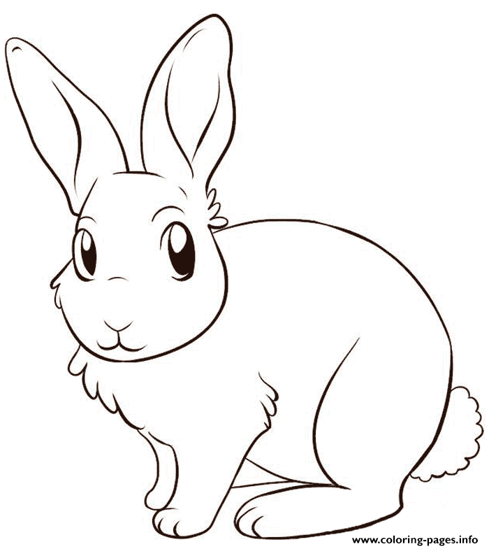 Print cute rabbit color pages to print2389 Coloring pages