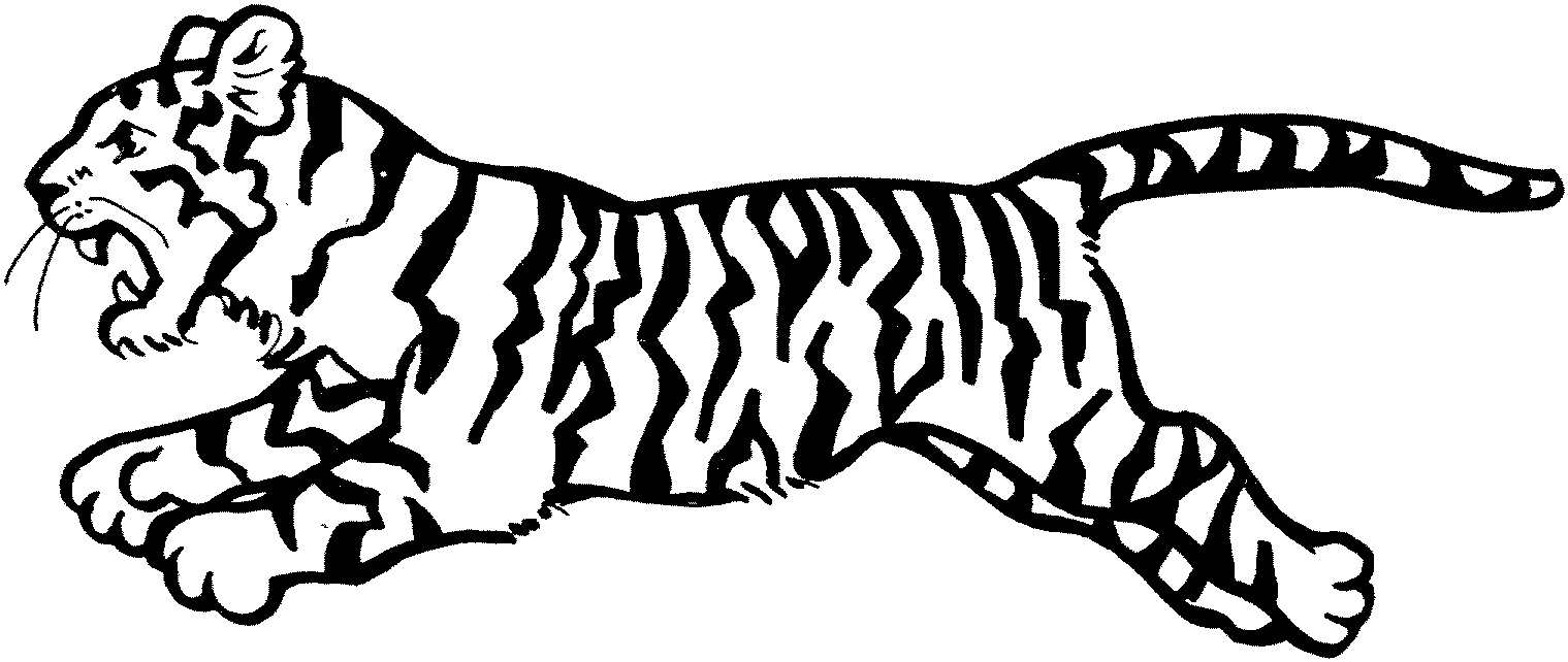 Tiger Coloring Sheet - Coloring Pages for Kids and for Adults