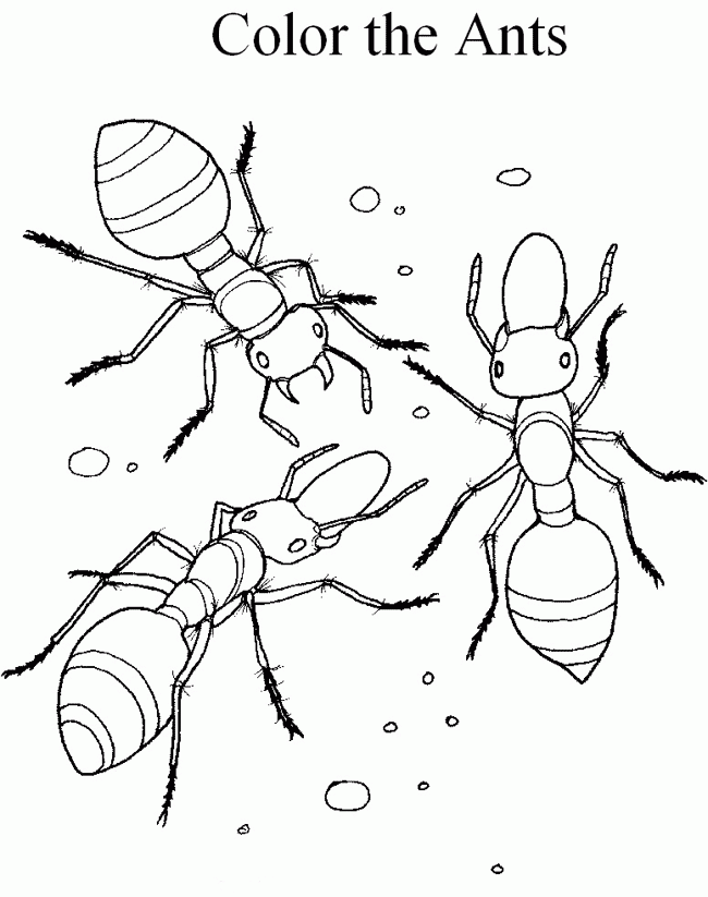 First Paper Ant Coloring Pages For Kids Az Coloring Pages, Genius ...
