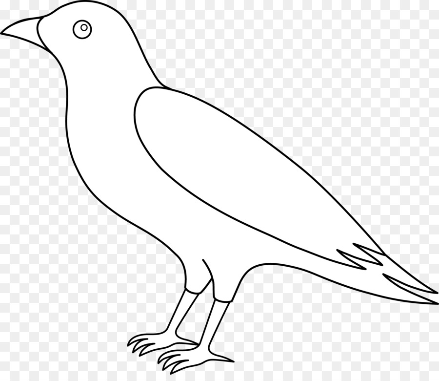 Bird Line Drawing clipart - Drawing, Bird, Wildlife, transparent ...