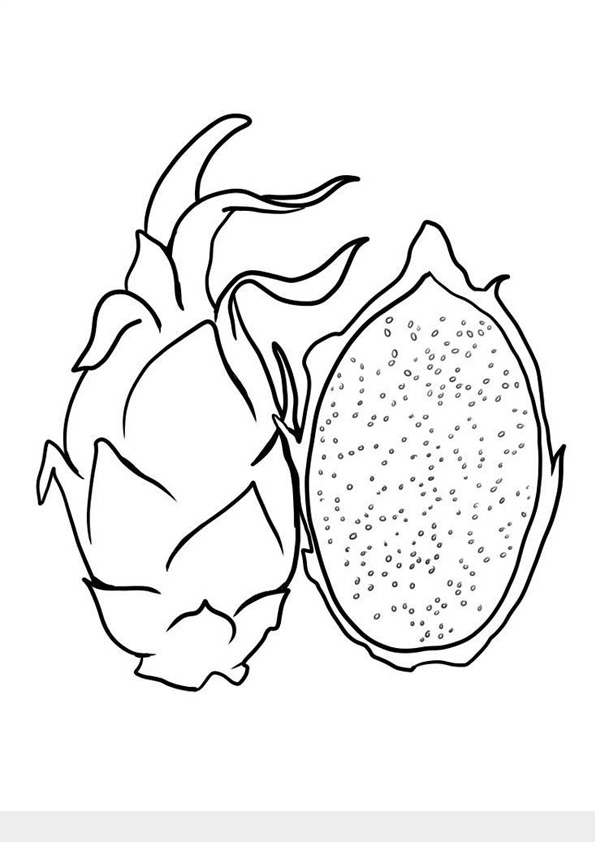 Dragon Fruits Coloring Sheet ...