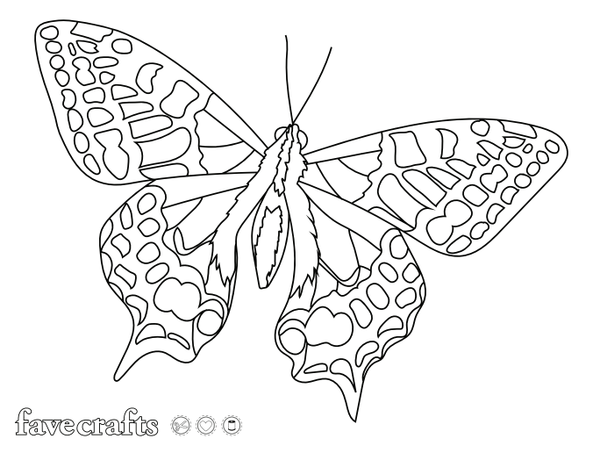 Simply Elegant Butterfly Coloring Page ...