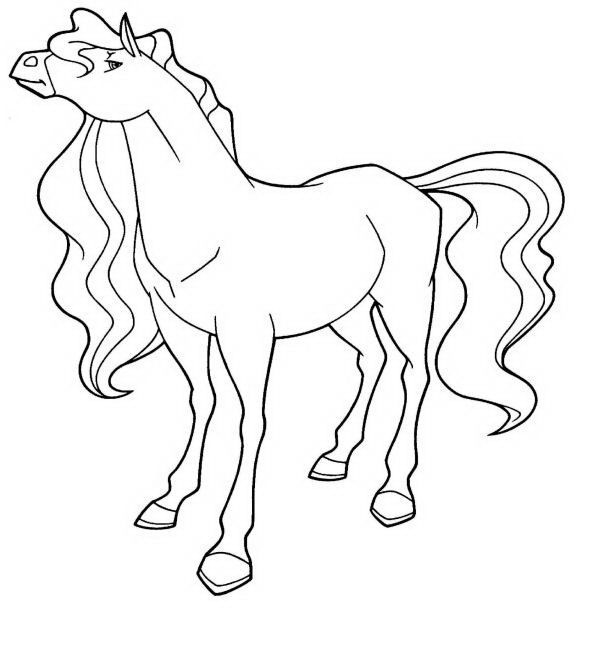 Pin on Colouring / Painting Horses