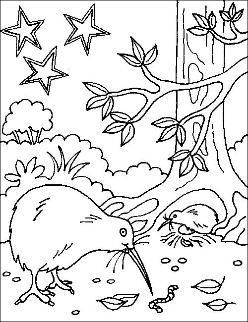 aotearoa nz map colouring page - Google Search | Bird coloring pages, Flag coloring  pages, Coloring pages