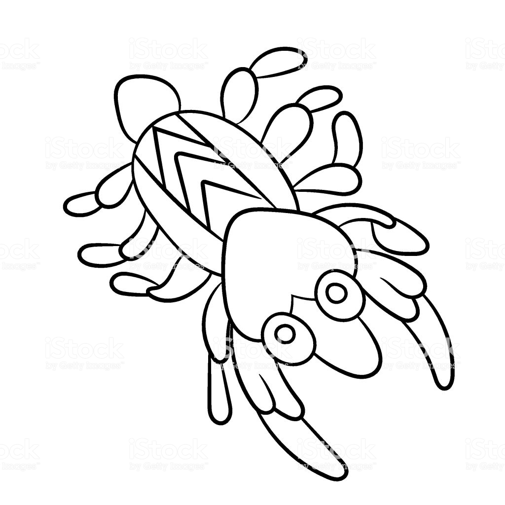 Plankton Shrimp In Coloring Page For Childrean And Adult In Vector ...