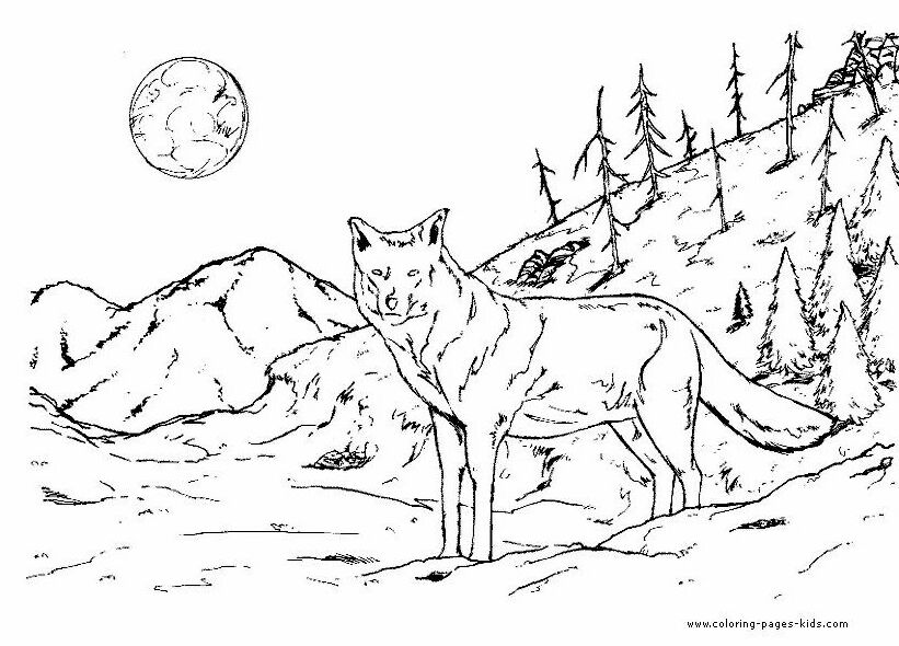 Colour In Sheet | Coloring Pages