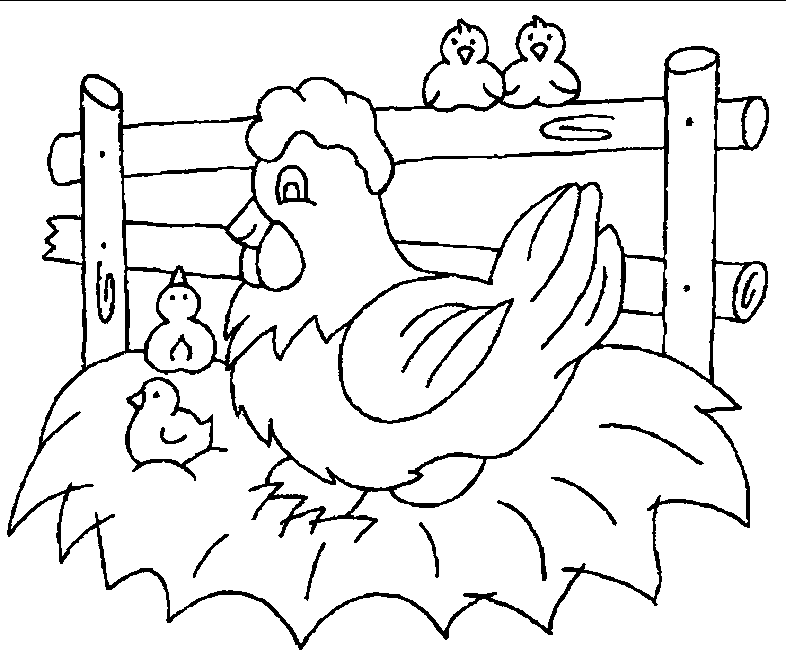 Chicken coloring page - Chicken free printable coloring pages animals