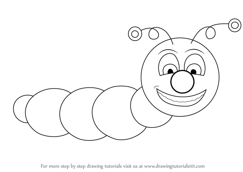 Learn How to Draw a Caterpillar for Kids (Insects) Step by Step ...