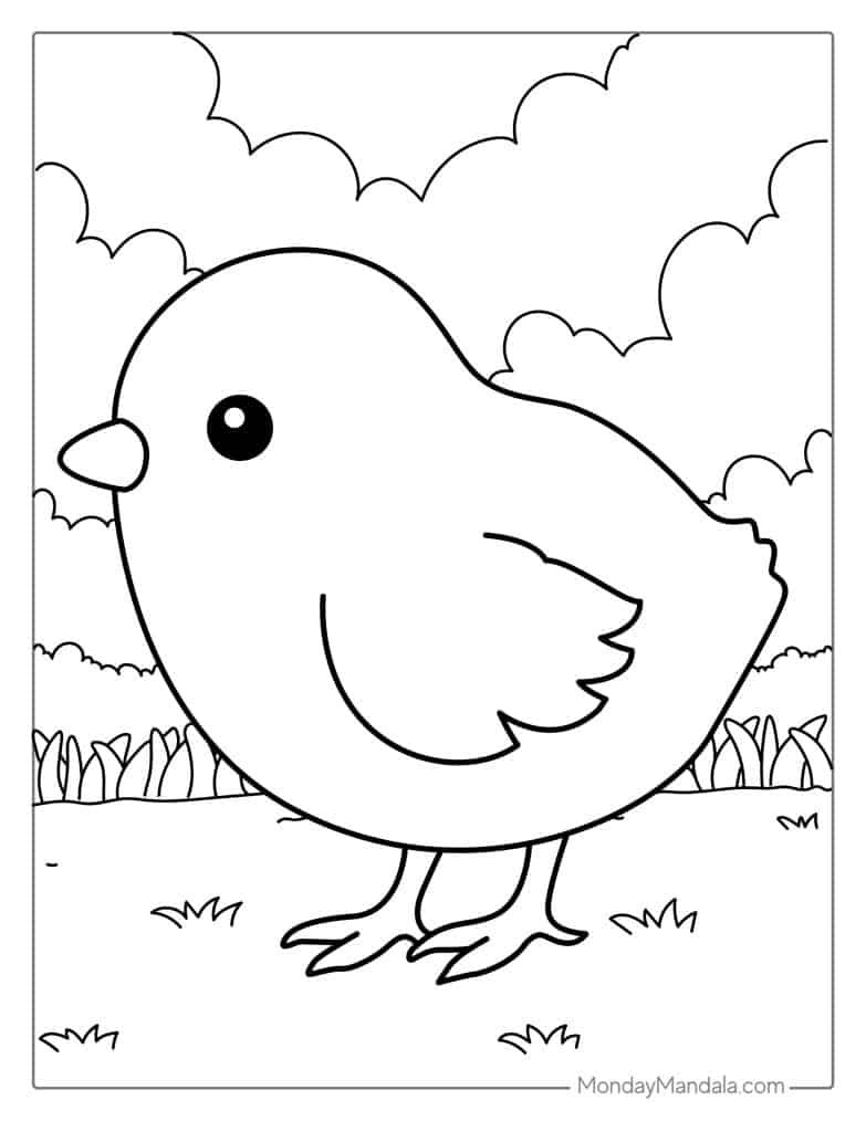 30 Chicken Coloring Pages (Free PDF Printables)