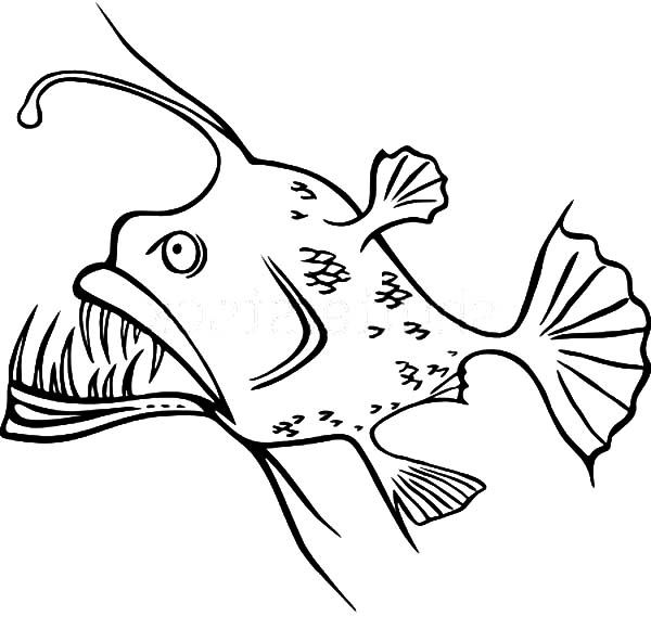 Angler Fish Coloring Pages - Get Coloring Pages