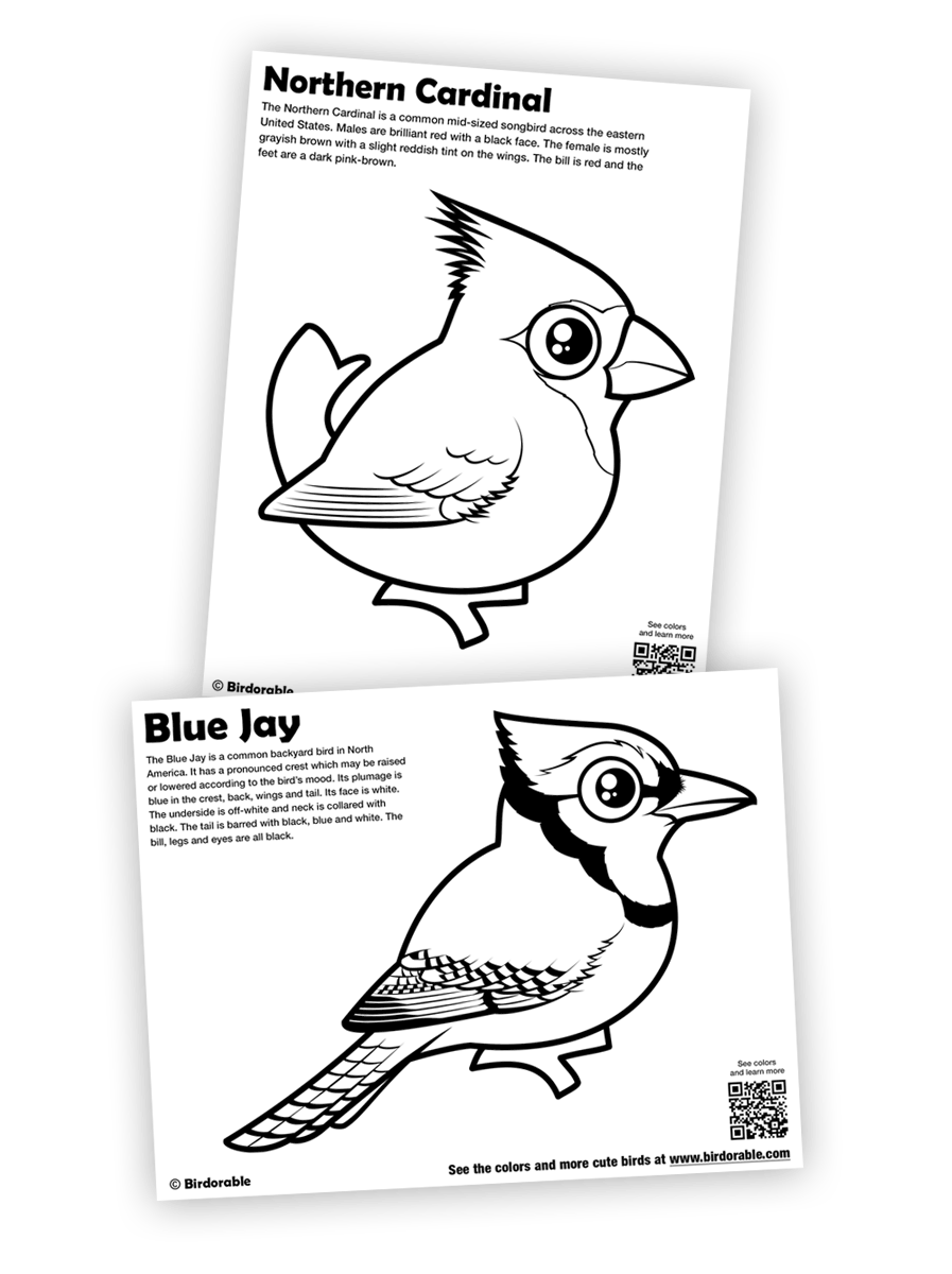 Cute Birdorable Blue Jay and Cardinal Coloring Pages