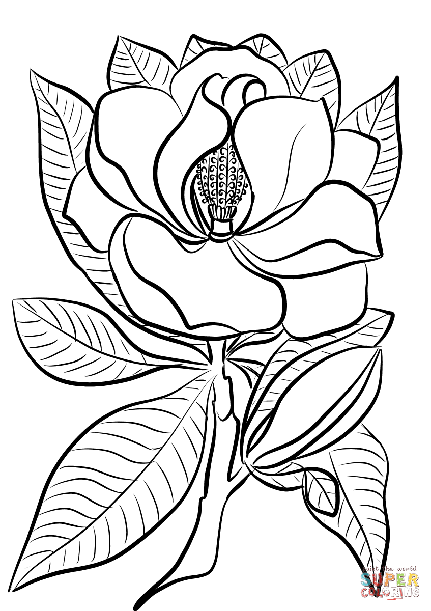 Magnolia coloring page | Free Printable Coloring Pages