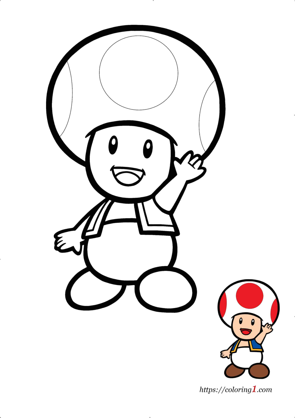 Toad Mario Coloring Pages - 2 Free Coloring Sheets (2021) | Mario coloring  pages, Super mario coloring pages, Coloring pages